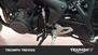 Triumph Street Triple 765 R A2 (2024 - 25) (7)