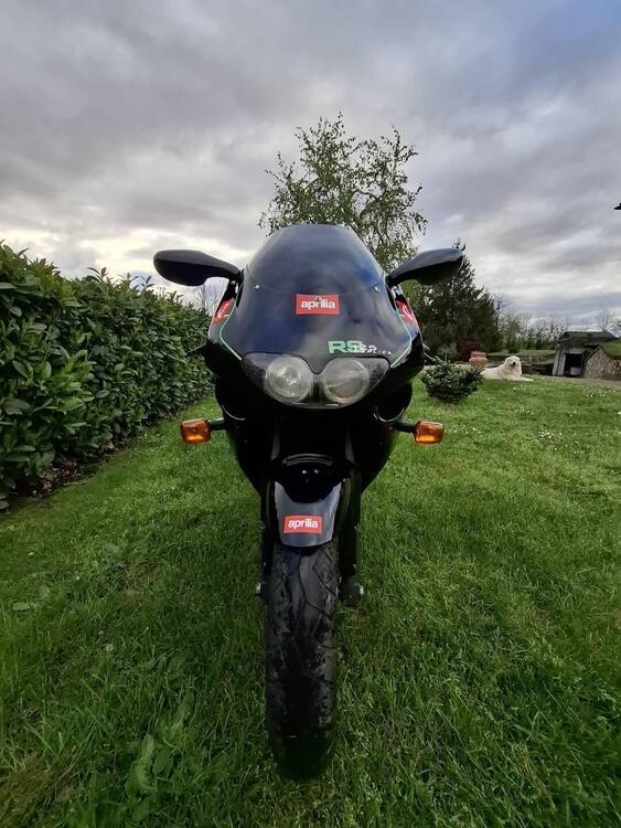 Aprilia RS 125 Replica a.e. (1994 - 97)