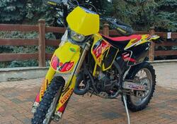 Suzuki RM 125 Valenti Racing (2006 - 07) usata