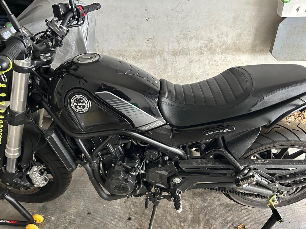Benelli Leoncino 500 (2021 - 25) (3)