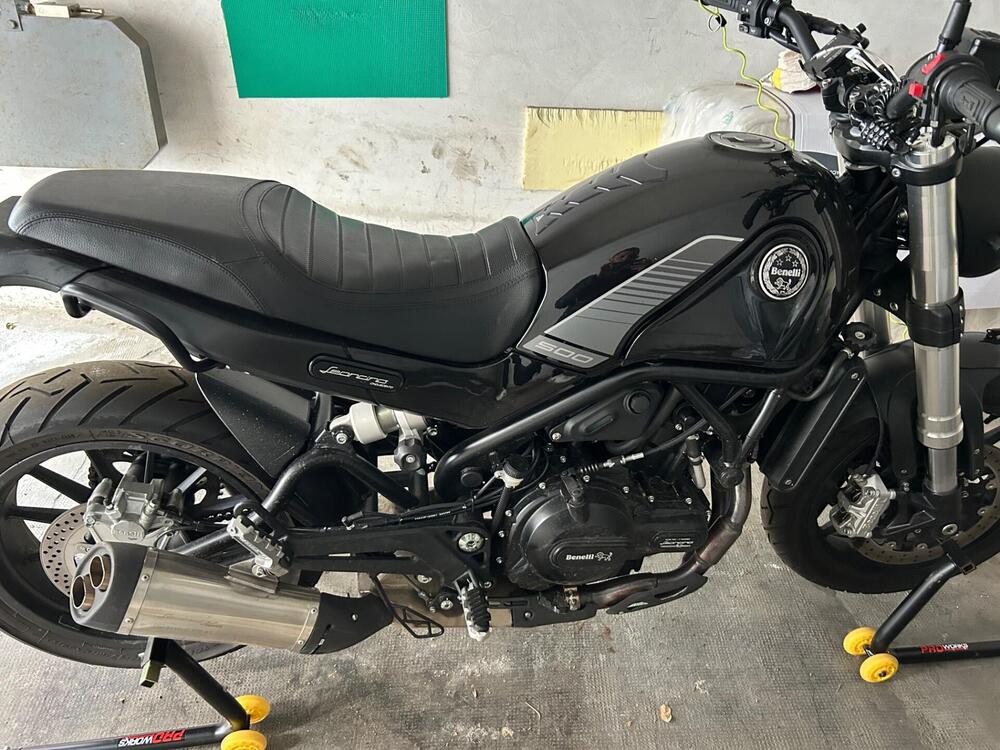 Benelli Leoncino 500 (2021 - 25) (5)