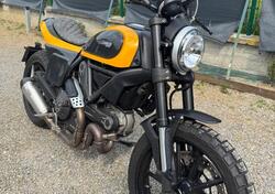 Ducati Scrambler 800 Icon (2017 - 20) usata