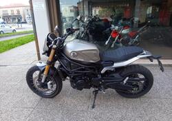 Benelli Leoncino 800 Trail (2022 - 25) usata