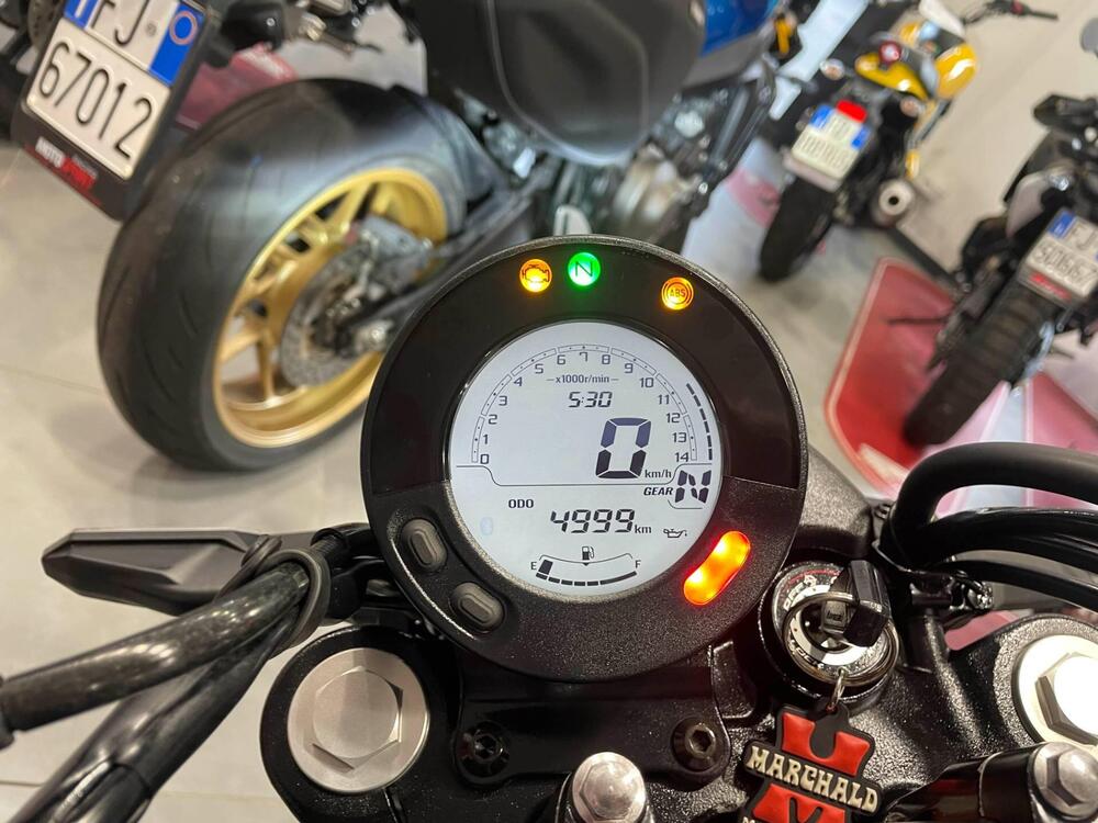 Kawasaki Eliminator 500 (2024 - 25) (4)