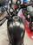 Kawasaki Eliminator 500 (2024 - 25) (9)