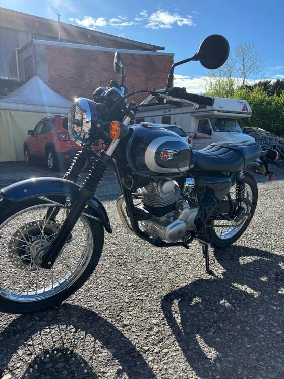 Kawasaki W 230 (2025 - 26) (3)