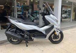 Zontes ZT350-D (2023 - 25) nuova