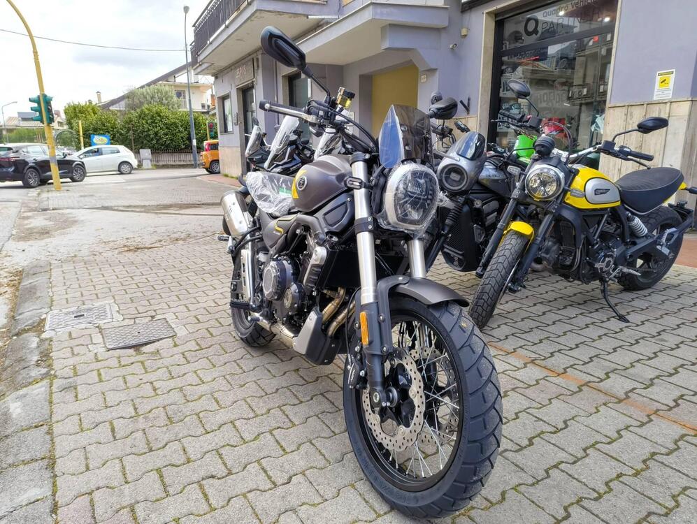 Voge Trofeo 525ACX Scrambler (2023 - 25) (2)