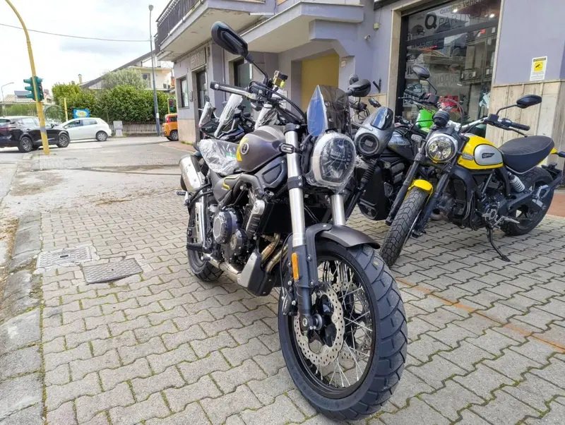 Voge Trofeo 525ACX Scrambler (2023 - 26) (2)