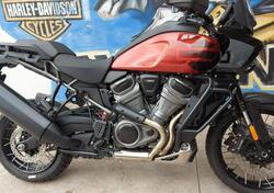 Harley-Davidson Pan America 1250 Special (2020 - 25) nuova