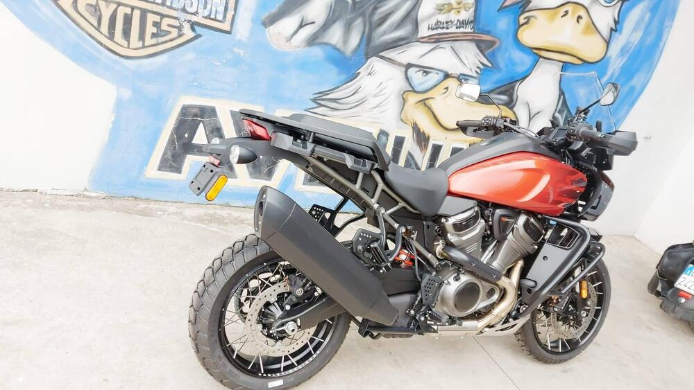 Harley-Davidson Pan America 1250 Special (2020 - 25) (2)