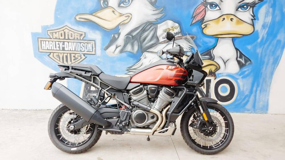 Harley-Davidson Pan America 1250 Special (2020 - 25) (4)