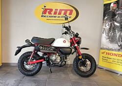 Honda Monkey 125 (2025) nuova