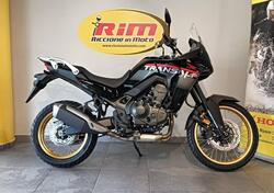 Honda Transalp XL750 (2025) nuova