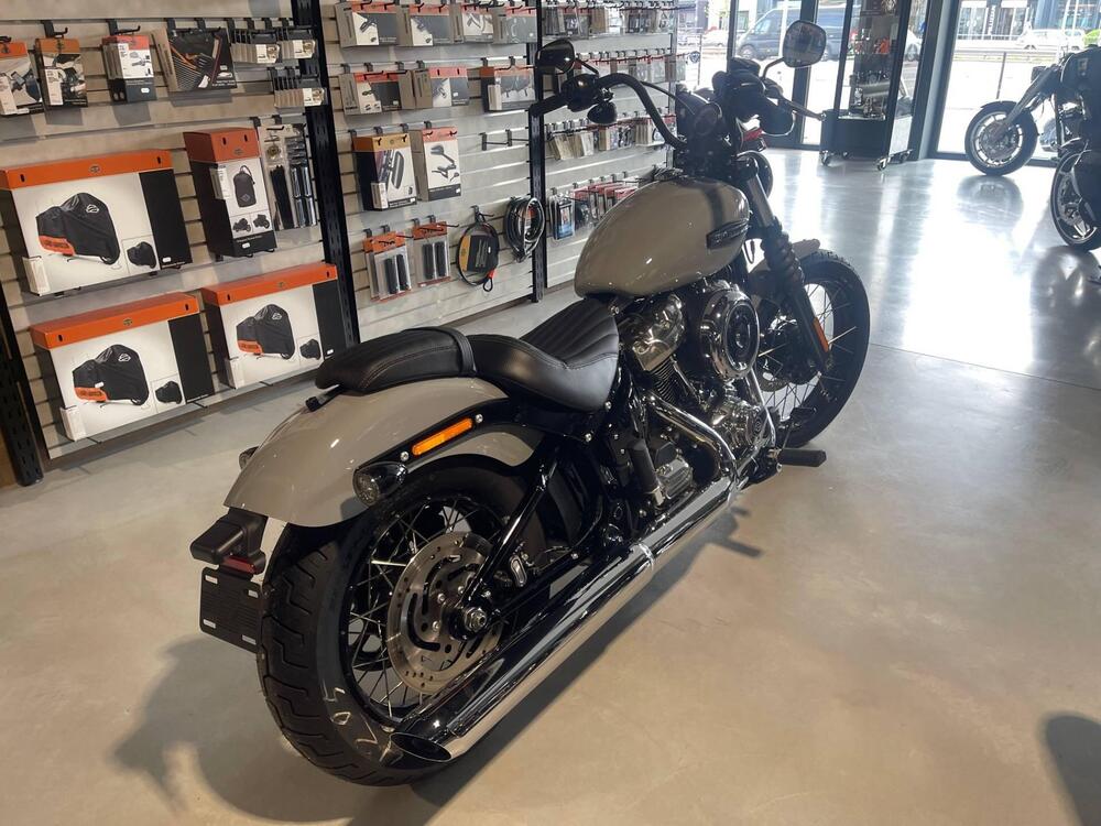 Harley-Davidson Street Bob 117 (2025) (2)