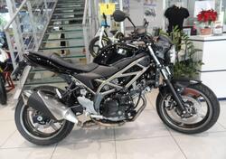 Suzuki SV650 (2021 - 24) usata