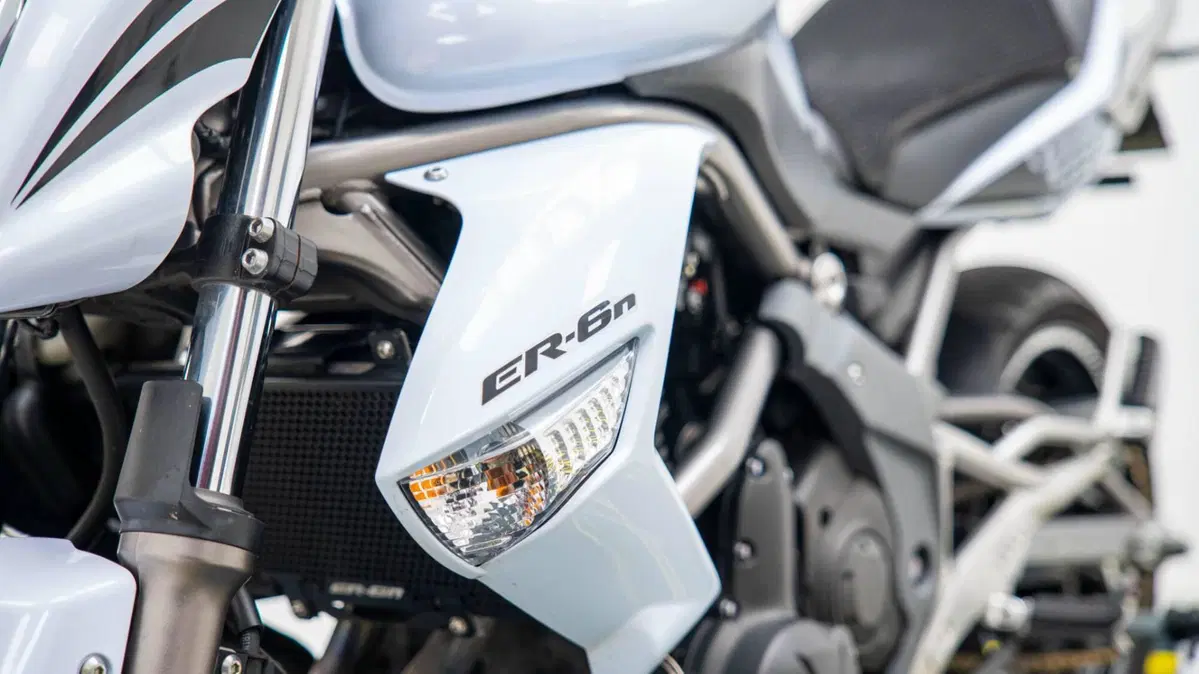 Kawasaki ER-6N (2006 - 09) (11)