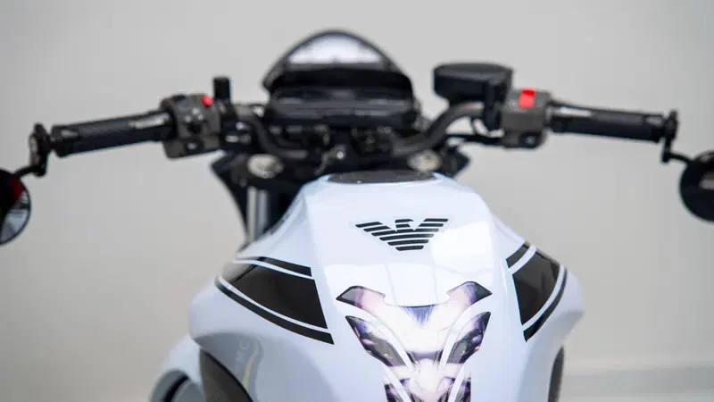 Kawasaki ER-6N (2006 - 09) (14)