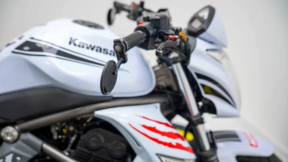Kawasaki ER-6N (2006 - 09) (17)