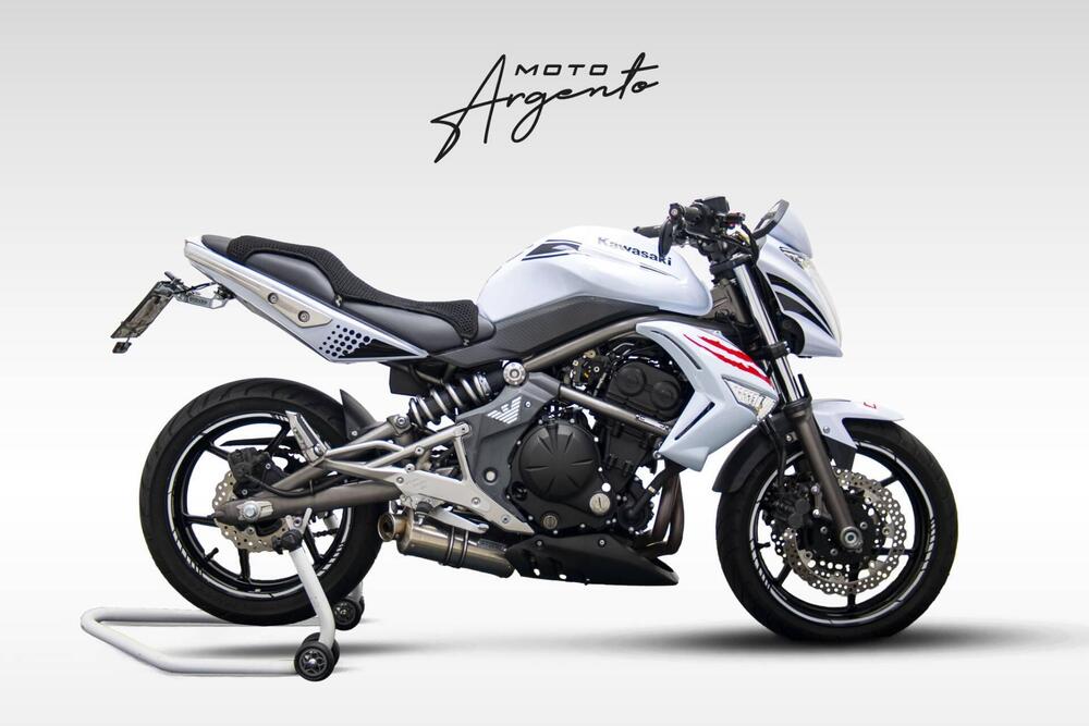 Kawasaki ER-6N (2006 - 09)