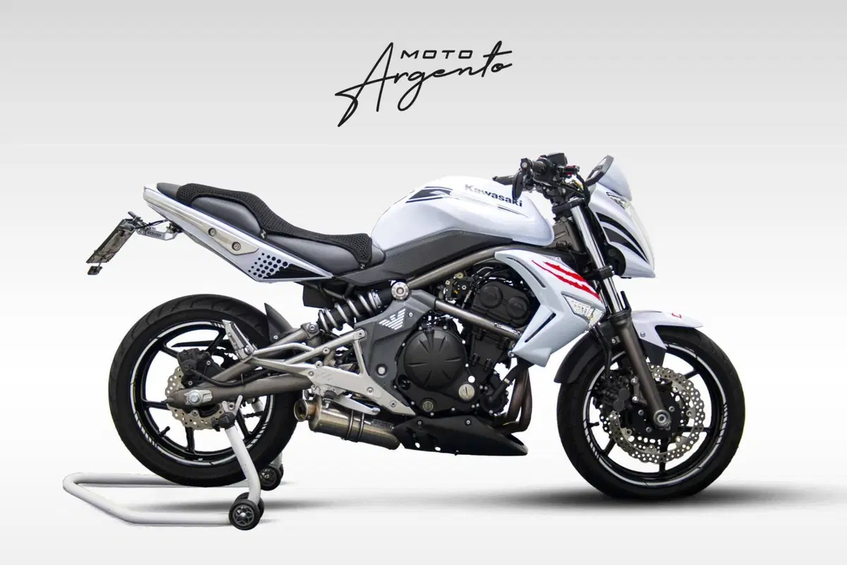 Kawasaki ER-6N (2006 - 09)