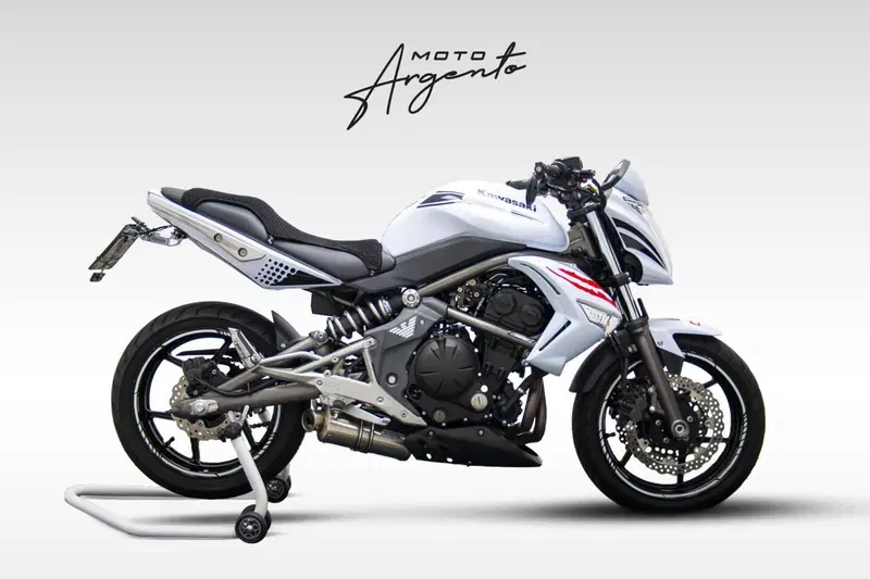 Kawasaki ER-6N (2006 - 09)