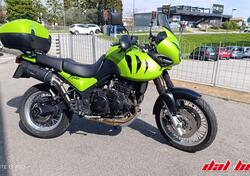 Triumph Tiger 955 (2002 - 06) usata