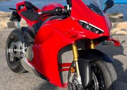 Ducati Panigale V4 S (2025) usata