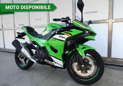 Kawasaki Ninja 500 SE (2024 - 25) nuova