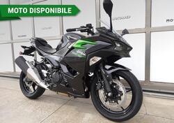 Kawasaki Ninja 500 (2024 - 25) nuova