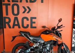 KTM 125 Duke (2024 - 25) nuova