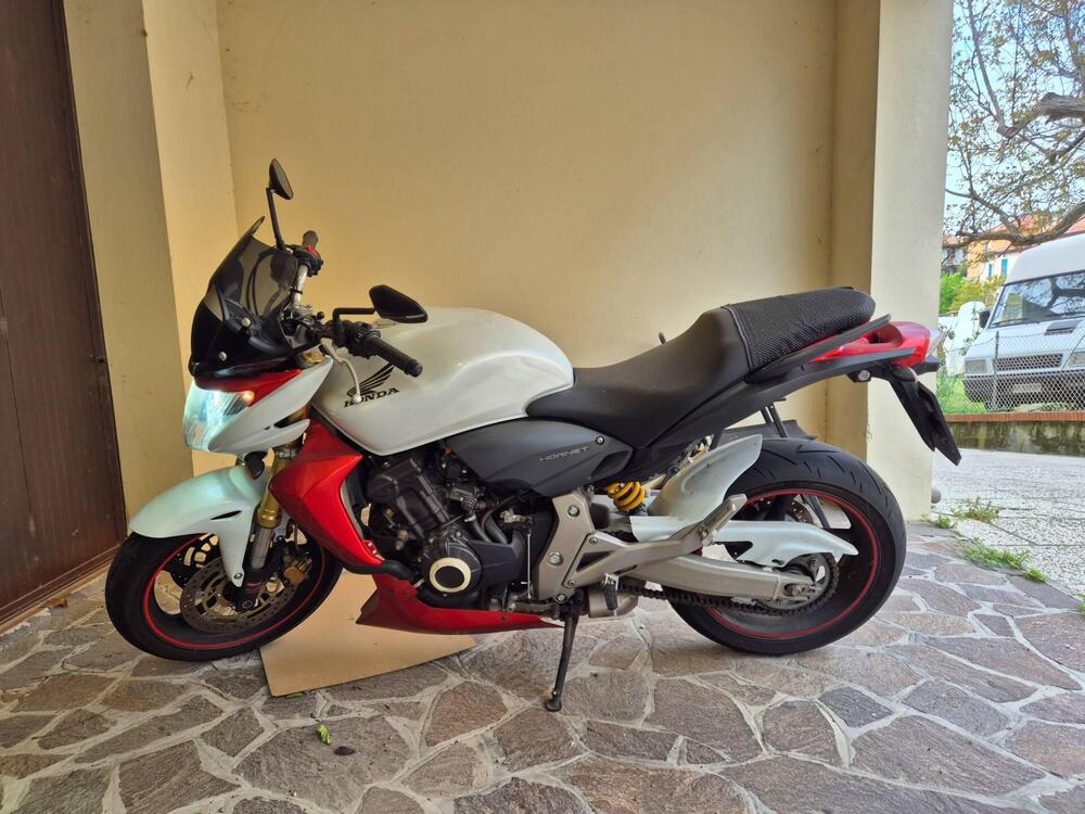Honda Hornet 600 (2007 - 10) (2)