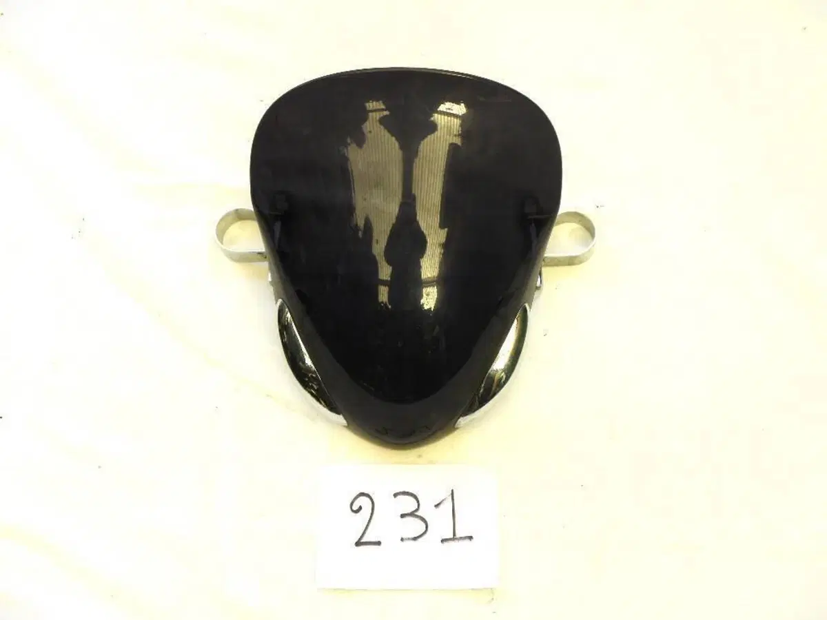 Cupolino universale per moto stradale (n.231)  (2)