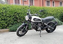 Ducati Scrambler 800 Icon (2015 - 16) usata