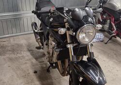 Suzuki GSF 600 Bandit (2000 - 05) usata