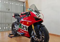 Ducati Panigale V2 Bayliss 1st Championship 20th Anniversary (2021 - 24) usata