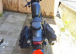 Honda CMX 500 Rebel (2022 - 24) usata