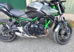 Kawasaki Z 650 (2021 - 24) usata