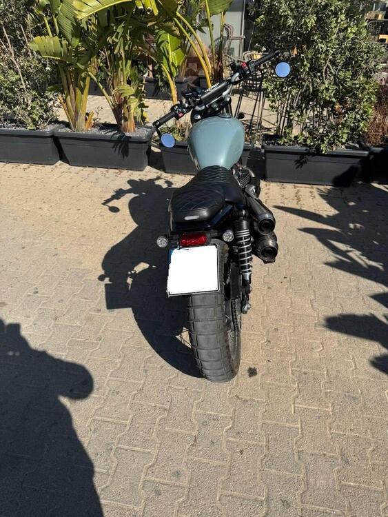 Triumph Street Scrambler 900 (2021 - 22) (4)