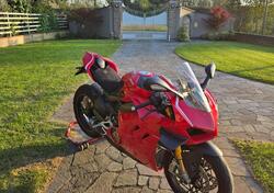 Ducati Panigale V4 1100 (2020) usata