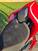Ducati Panigale V4 1100 (2020) (10)