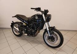 Benelli Leoncino 500 Trail (2021 - 25) nuova