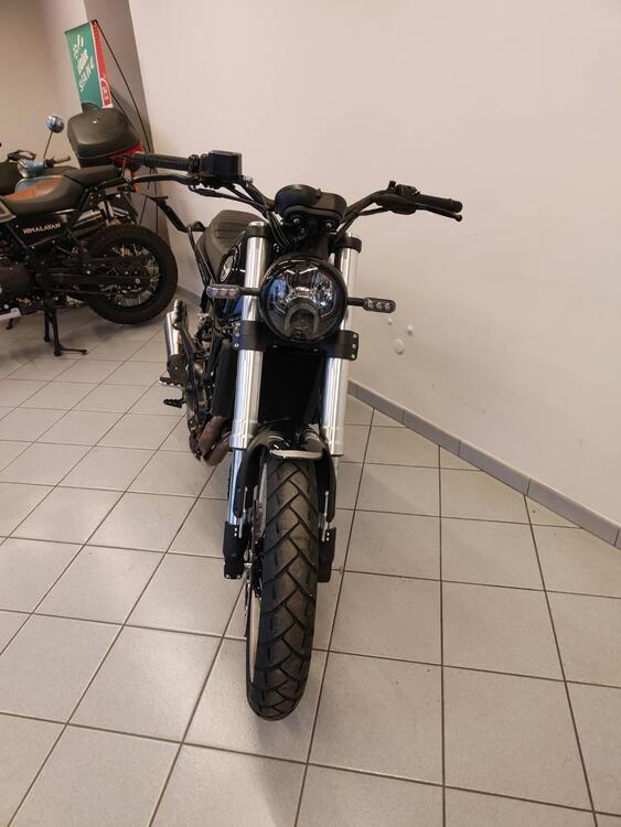 Benelli Leoncino 500 Trail (2021 - 25) (5)
