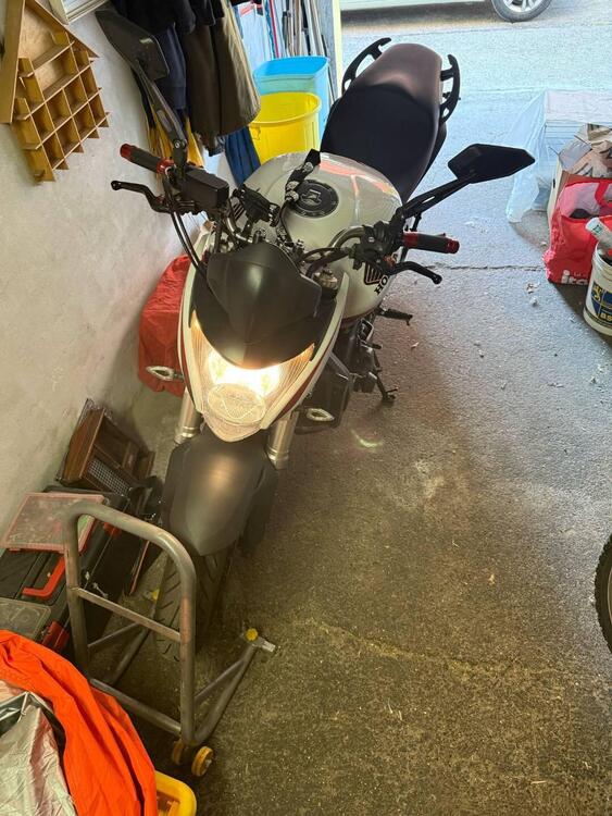 Honda Hornet 600 (2007 - 10)