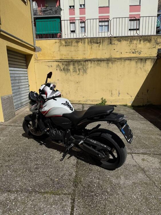 Honda Hornet 600 (2007 - 10) (2)
