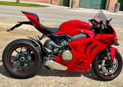 Ducati Panigale V4 (2022 - 24) usata