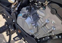 CFMOTO 800MT Explore (2023 - 25) usata