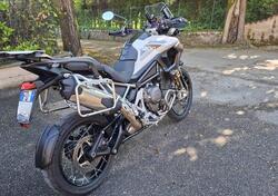 Triumph Tiger 1200 Rally Pro (2022 - 23) usata