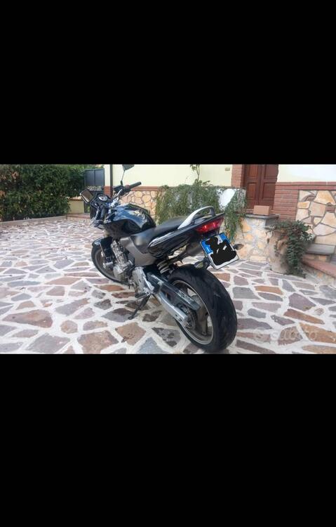 Honda Hornet 600 (2005 - 06) (2)