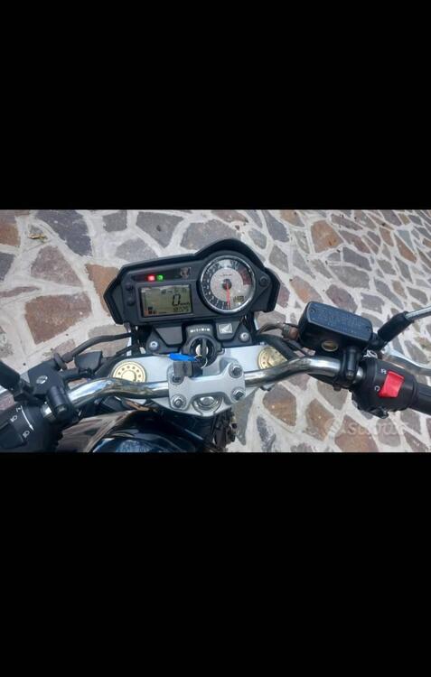 Honda Hornet 600 (2005 - 06) (4)
